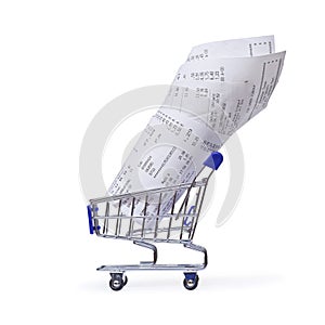 Shopping cart with receipts photo