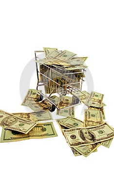 Shopping Cart stuffed money