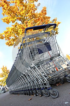 Shopping carts