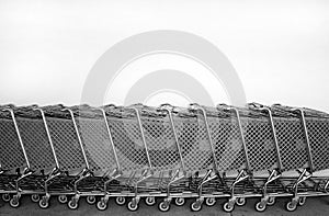 Shopping Carts