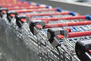 Shopping carts line closeup