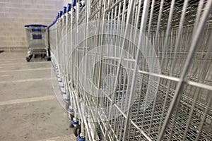 Shopping carts lined up