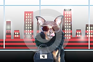 Shopping concept. Dog, Stylish, chic diva in a fur coat and glasses licked in anticipation of purchases and discounts. Fashion and