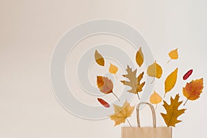 Shopping crafting paper bag with fallen leaves peeking out of it, isolated on beige background