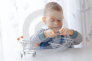 Shopping, discount, sale concept. Mall shopping. Buy products. Child playing shopping trolley cart, basket. Play shop