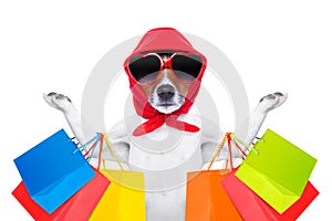 Shopping dog