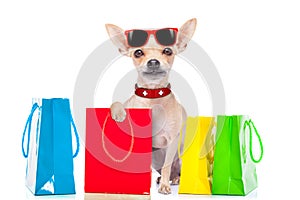 Shopping dog