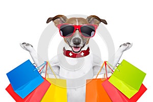 Shopping dog photo