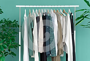 Shopping dress clothes shelf green leaves plant background