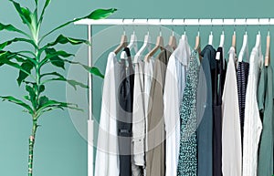 Shopping dress clothes shelf green leaves plant background