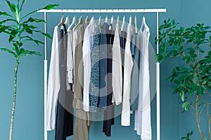 Shopping dress clothes shelf green leaves plant blue background