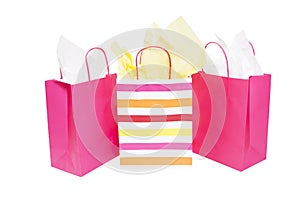 Shopping Gift Bags