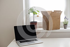 Shopping online e-comerce, Parcel boxes on a laptop.