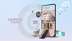 Shopping Online on Mobile Application and website