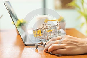 Shopping online with small shopping cart and credit card offers convenient and efficient way to purchase limited number of items,