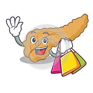 Shopping pancreas character cartoon style