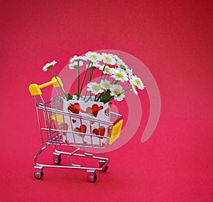 Shopping trolley, gift bag, chamomile flowers on red background