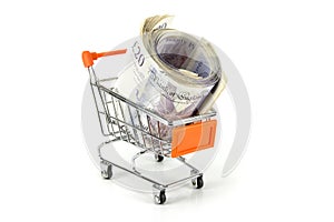 Shopping Trolley of Money