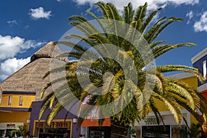 Shops and palm tree in Puerta Maya cruise port Cozumel