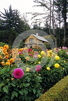 Shore Acres State Park, Oregon