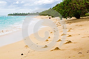 Shore of an azure, turquoise, blue lagoon. Heaps of sand near crab hole minks. Waves, swash at empty beautiful sandy beach. Tonga.