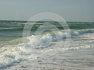 Shore of the black sea