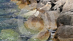 Shore boulders wash