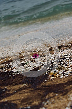 On the shore of Caspian sea .Baki