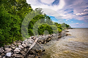 The shore of the Chesapeake Bay at Downs Park, in Pasadena, Mary