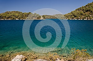 Shore in dalmatia