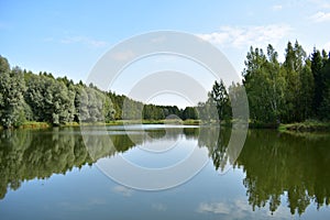 The shore of the forest lake is beautiful and calm, the mirror surface of the lake reflects the trees surrounding the pond