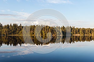 Shore of a forest lake