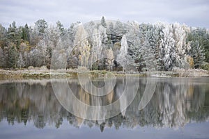 The shore of the forest lake in October frost. Pskov region, Russia