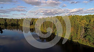 The shore of the forest lake, September day aerial video. Kostroma region, Russia