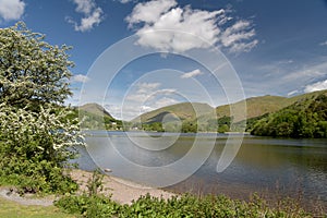 Shore of Grasmere