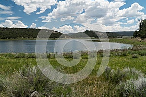 The shore grass and Quemado Lake, New Mexico. photo