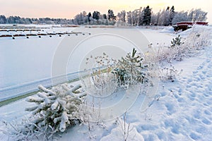 At the shore of the Gulf of Bothnia after the snowfall