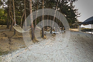The shore of the high lake of Sevan
