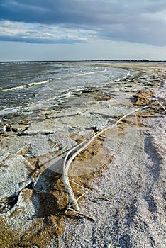 The shore of a hyperhaline lake covered with self-precipitating salt Sodium chloride, California