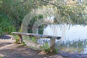 Shore of the lake with a bench