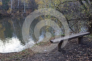 On the shore of the lake is a bench. Autumn evening. Forest background is blurred