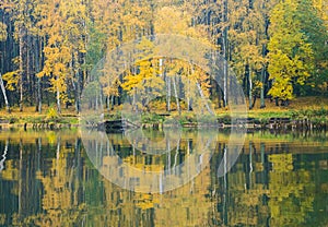 The shore of the lake on a calm misty autumn day. The view from the water