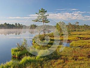 Shore of Lake Kakerdaja