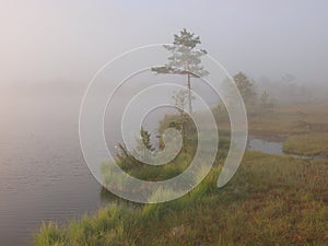 Shore of Lake Kakerdaja