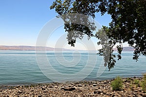 Shore of Lake Kinneret, Lake Tiberias