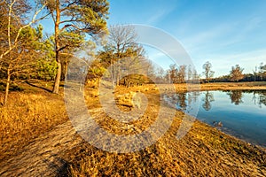 Shore of a lake in low sunlight