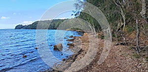 The shore of Lake Macquarie Shore and Beach