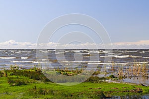 Shore of Lake Peipus photo