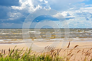 Shore of the Lake Peipus. Estonia