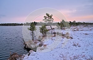 Shore of a lake with pine trees under a clorful evening sky. Aegviidu, Estonia